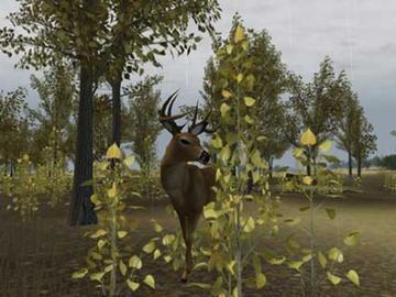 deer hunter 2005 full game free download